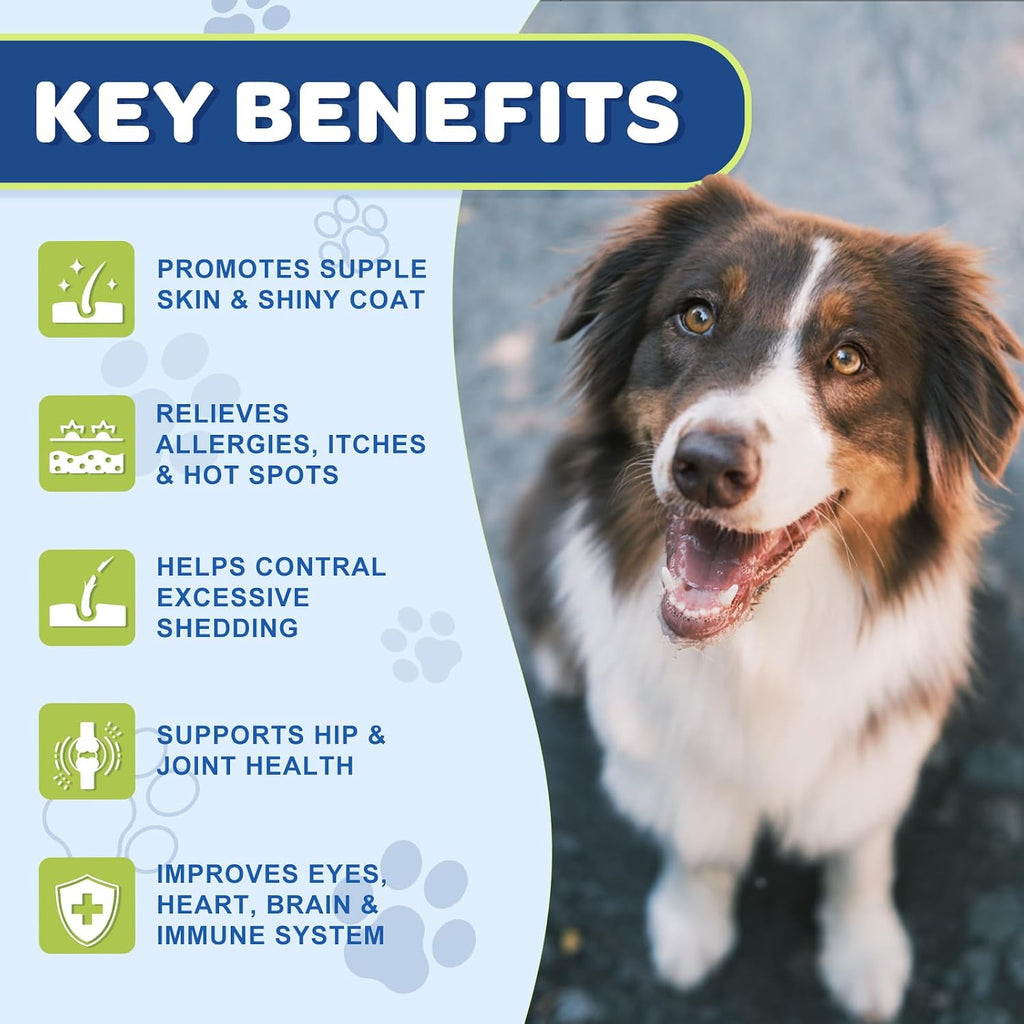 NATURE TARGET Omega 3 Aceite de Pescado para Perros - Suplemento de Aceite de Salmón con EPA y DHA - 120 Masticables