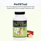 Youngevity Perpetual™ - Ultimate Anti-Aging and Bone Support for Dogs - with Glucosamine, Choline, MSM, Milk Thistle, Calcium, Turmeric, and More - 60 Chewable Tablets