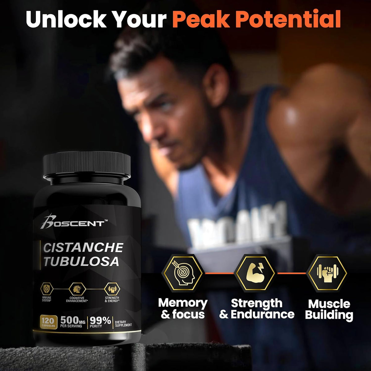 Cistanche Tubulosa Extract 500mg – 120 Cápsulas – 50% Echinacósidos, 10% Acteósidos | Suplemento Natural para Energía y – Image 6