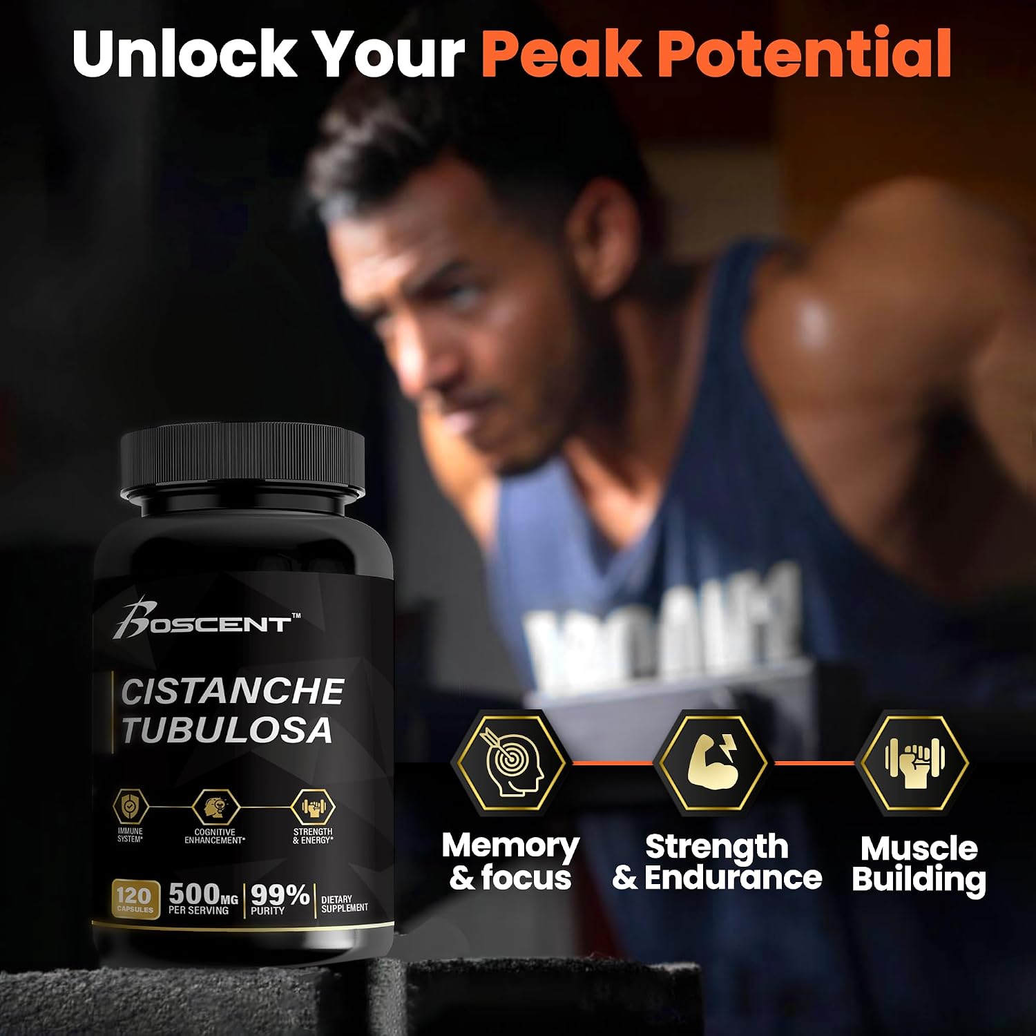 Cistanche Tubulosa Extract 500mg – 120 Cápsulas – 50% Echinacósidos, 10% Acteósidos | Suplemento Natural para Energía y Bienestar