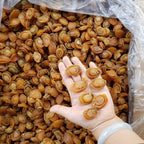 Dried Abalone (100 g)