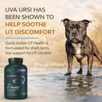 VetriScience Quick Action UT Health - Suplemento urinario para perros - 90 tabletas masticables con sabor ahumado