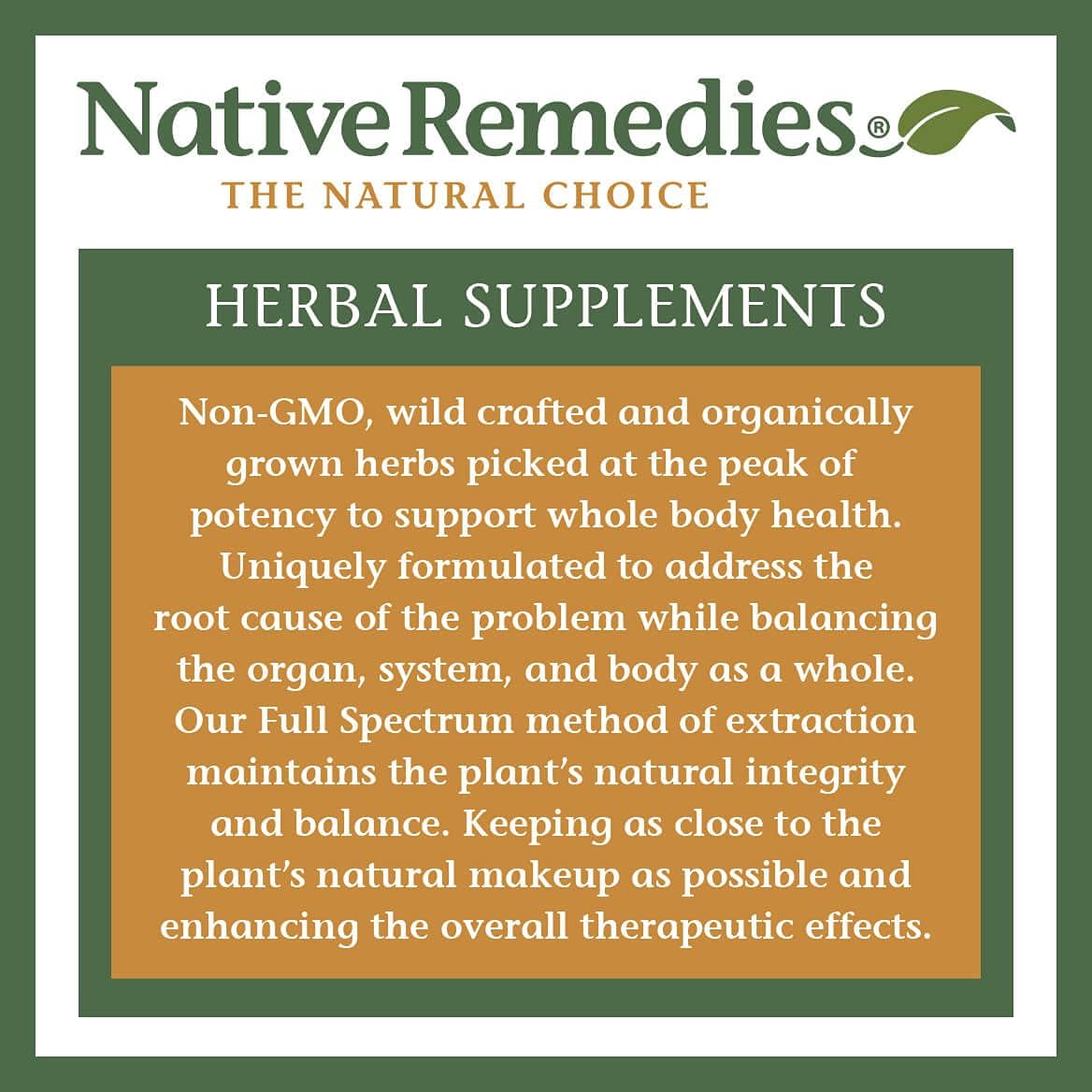 Native Remedies Vizu-All Plus 2 Pack