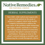 Native Remedies LegCalm 2 Pack