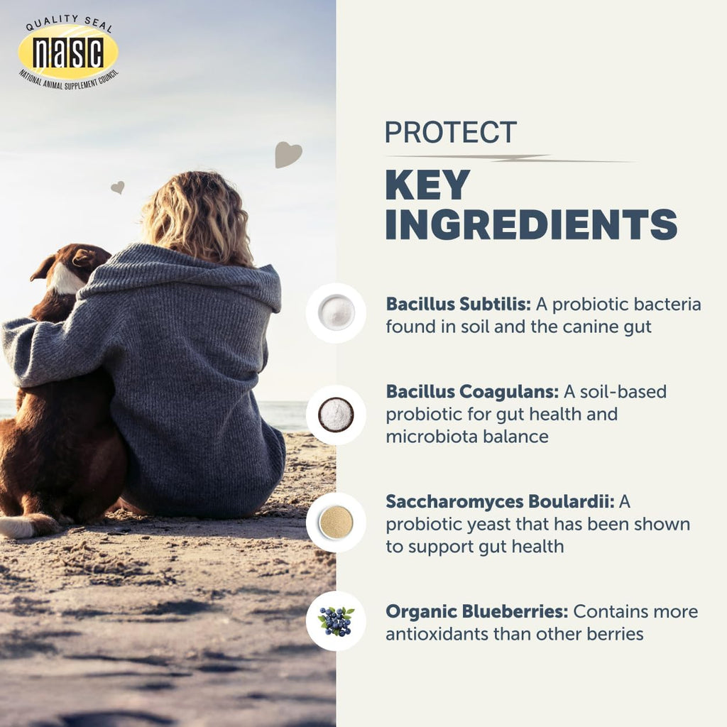 Protect - Probióticos para Perros - Formulado por Veterinarios - con Prebióticos Naturales y Antioxidantes - Desintoxicación y Salud Digestiva - Suministro para 30 Días para Perros Grandes