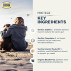 FOUR LEAF ROVER Protect – Probióticos para Perros con Prebióticos y Antioxidantes