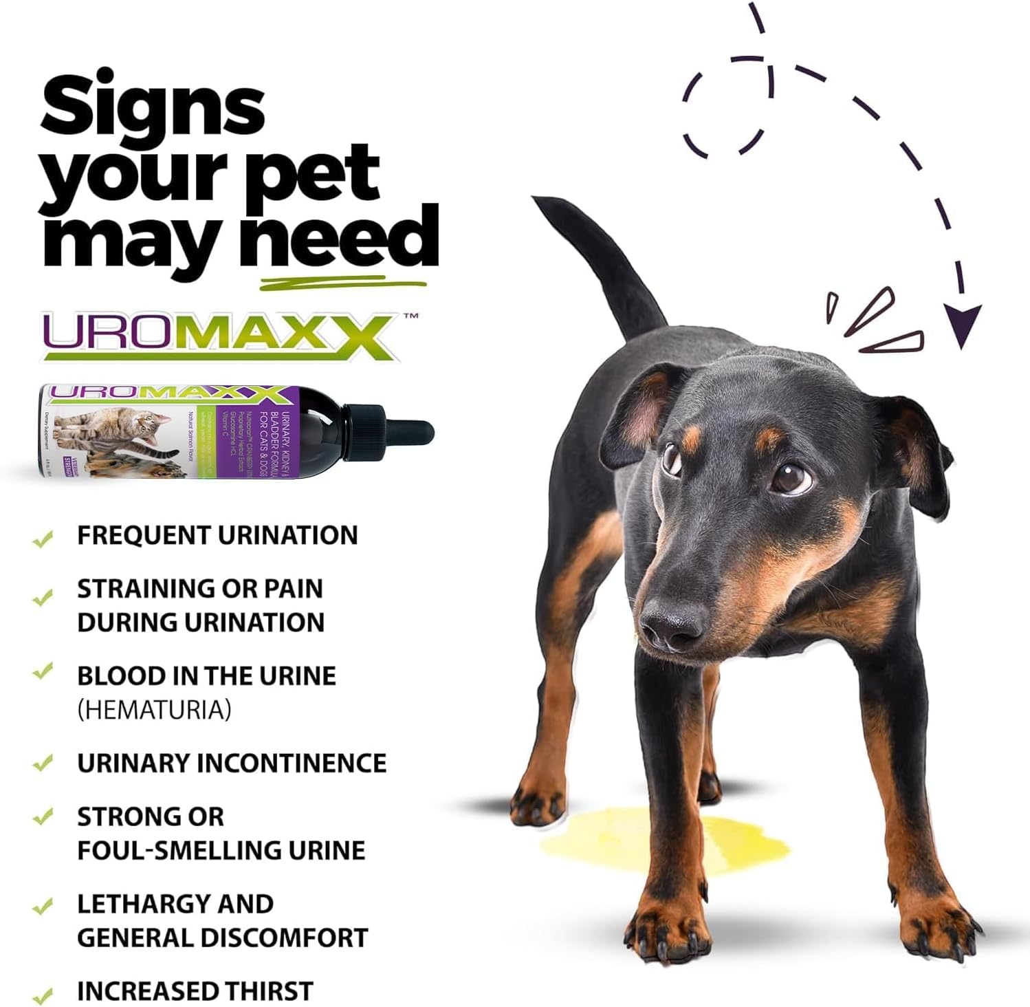 UroMAXX Tratamiento Urinario para Perros y Gatos, Soporte para Vejiga y Riñones, con Arándano Rojo y Glucosamina, Sabor a Salmón, 177 ml