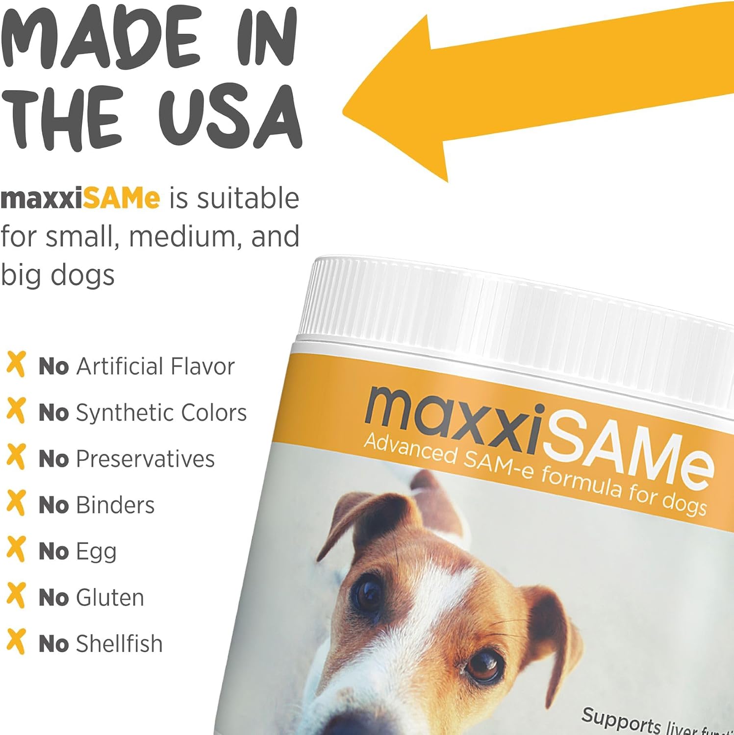 maxxiSAMe Suplemento Avanzado de SAM-e en Polvo para Perros - Apoyo Hepático, Cognitivo y Articular, 150g