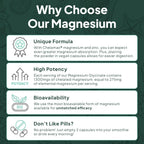 Organics Ocean Magnesio Glicinato Puro con Zinc - Suplemento de Magnesio Quelado de Máxima Potencia para Mujeres y Hombres, Ayuda contra Calambres Musculares y Favorece el Sueño - 6 Frascos