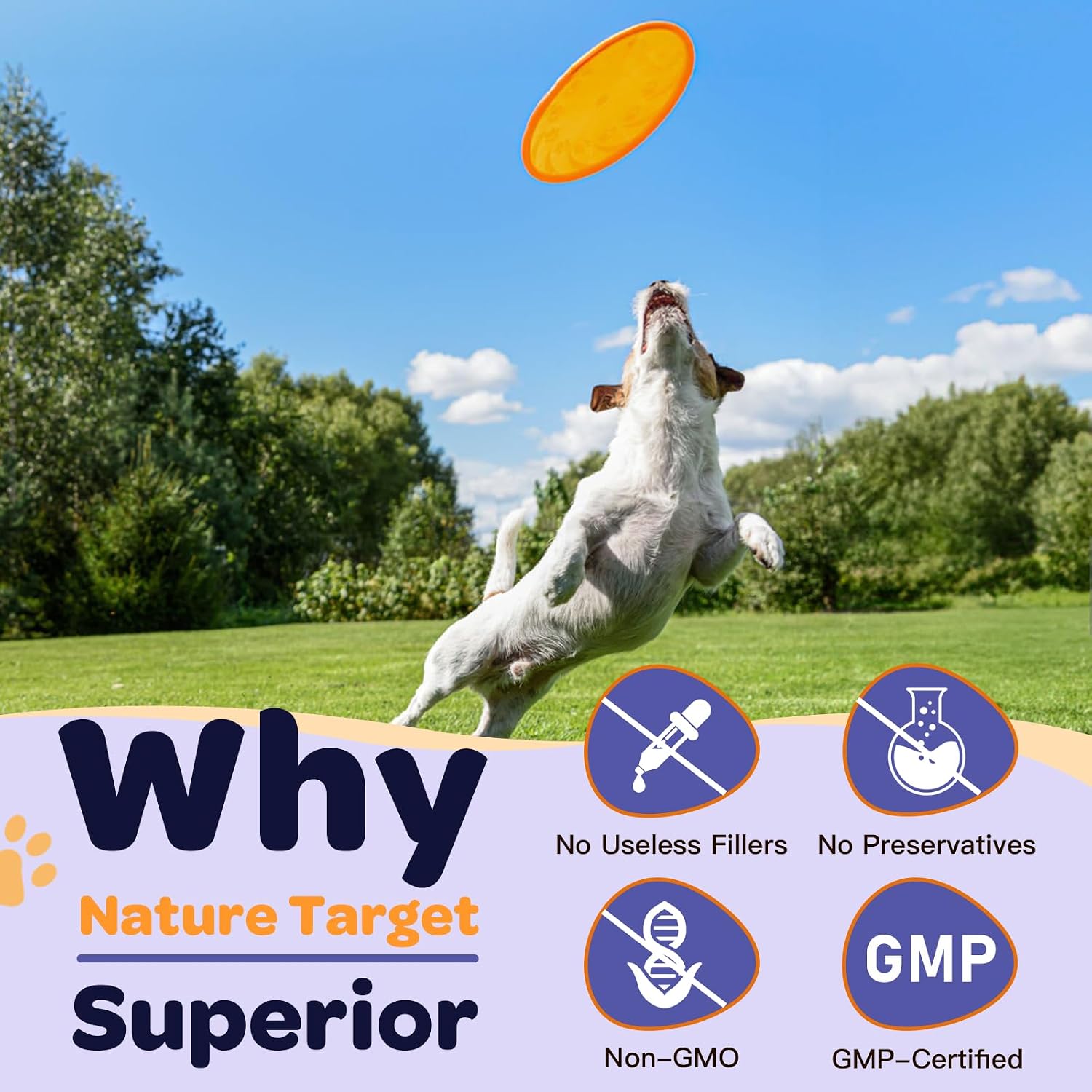 NATURE TARGET Probióticos para Perros - Polvo con Probióticos, Prebióticos, Enzimas Digestivas y Fibra - 6 Mil Millones de UFC - 90 Dosis