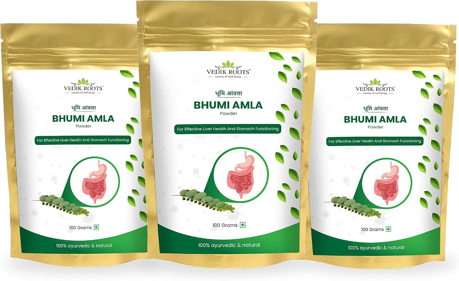 Bhumi Amla en Polvo - Phyllanthus Niruri - Antioxidante - Apoya Hígado y Riñones - 100 g