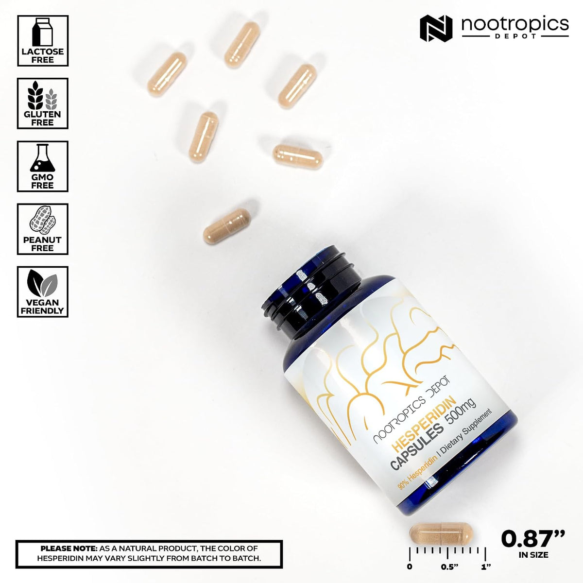Nootropics Depot Hesperidina Cápsulas | 500mg | 90% Extracto de Cítrico | Apoya la Función Metabólica y Cardiovascular – Image 3