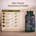 VetriScience Quick Action UT Health - Suplemento urinario para perros - 90 tabletas masticables con sabor ahumado
