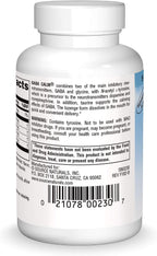 Source Naturals Serene Science GABA Calm – Pastillas de menta de disolución rápida, 30 unidades