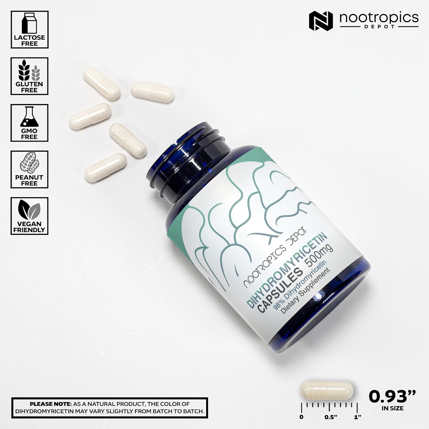 Nootropics Depot Dihidromiricetina (DHM) Cápsulas | Apoyo después de beber y recuperación | Extracto de Té de Vid (Ampelopsis grossedentata) | 60 cápsulas