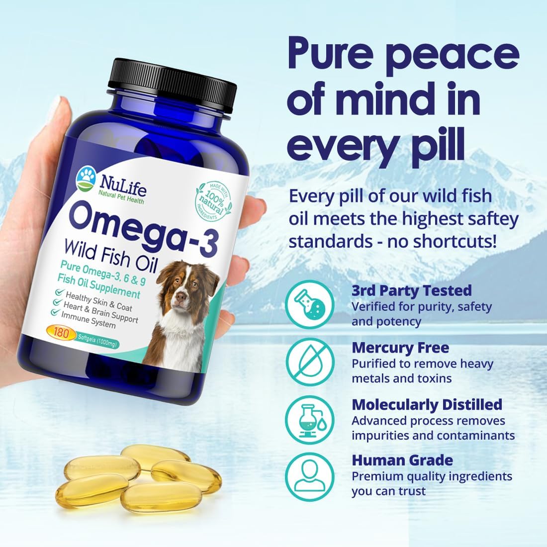 Pure Omega 3 Fish Oil for Dogs – Aceite de Pescado Salvaje de Islandia, 180 Cápsulas (1000 mg)