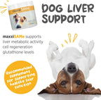 maxxiSAMe Suplemento Avanzado de SAM-e en Polvo para Perros - Apoyo Hepático, Cognitivo y Articular, 150g