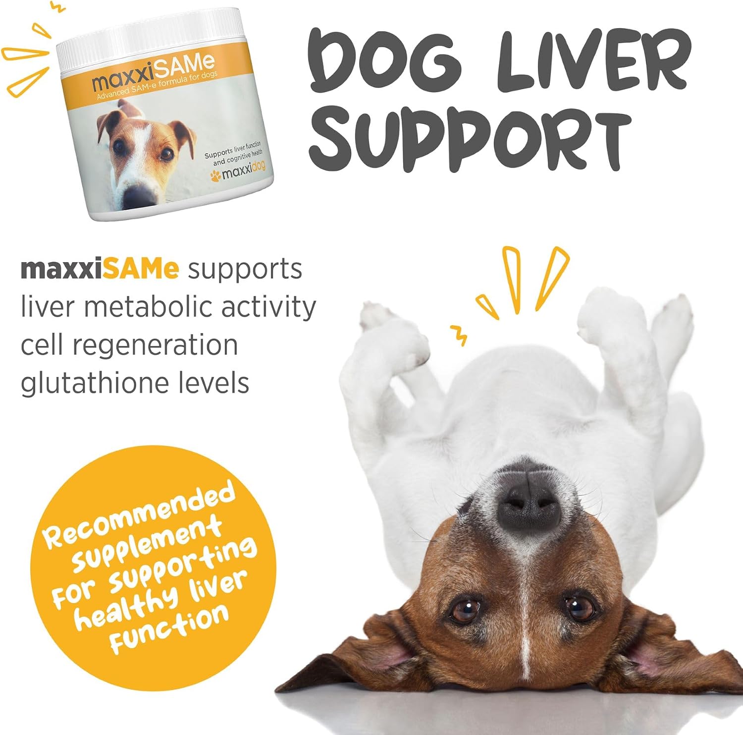 maxxiSAMe Suplemento Avanzado de SAM-e en Polvo para Perros - Apoyo Hepático, Cognitivo y Articular, 150g