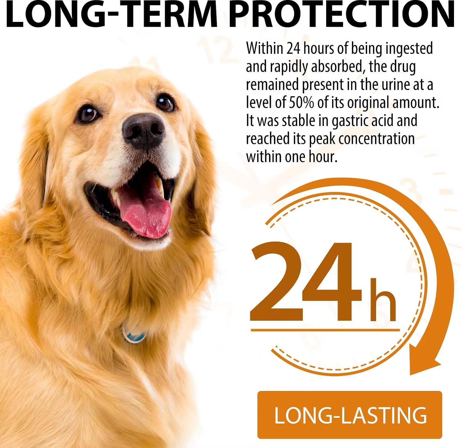 Quercetina para Perros - Alivio de Alergias - Gotas Líquidas Suplemento Herbal - Refuerzo Inmunológico, Antioxidante - 60 ml