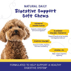 PupGrade Apoyo Digestivo para Perros, Sabor a Pato - 60 Masticables Suaves