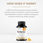 Sandhu's Berberina HCL 500mg por cápsula - 60 Cápsulas - Extracto de Berberis Aristata al 97% - Sin OGM, Vegetariano, Sin Gluten