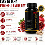 Saba Pomegranate Plus | Suplemento antioxidante con Astaxantina y Granada | 60 Cápsulas