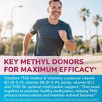 Vitalibre TMG Methyl B Complex - 120 Cápsulas Veganas