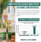 Organic Barley Grass Juice Powder - Cultivado en Suelo Volcánico de Utah - Forma Cruda y Bioactiva, Prensado en Frío y Secado con CO₂ – Sin Gluten, Sin OGM, Vegano - Complementa el Polvo de Jugo de Wheatgrass - 150 g