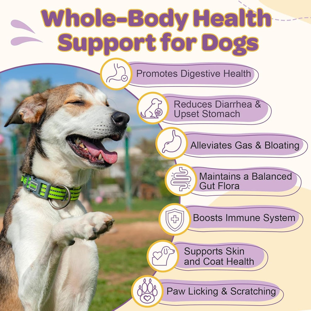 Probióticos para Perros – 6 Billones de UFC y 10 Cepas con Prebióticos, Omega-3, Enzimas Digestivas y Multivitaminas, Masticables Sabor Pato para Salud Digestiva e Inmune, 120 Chews