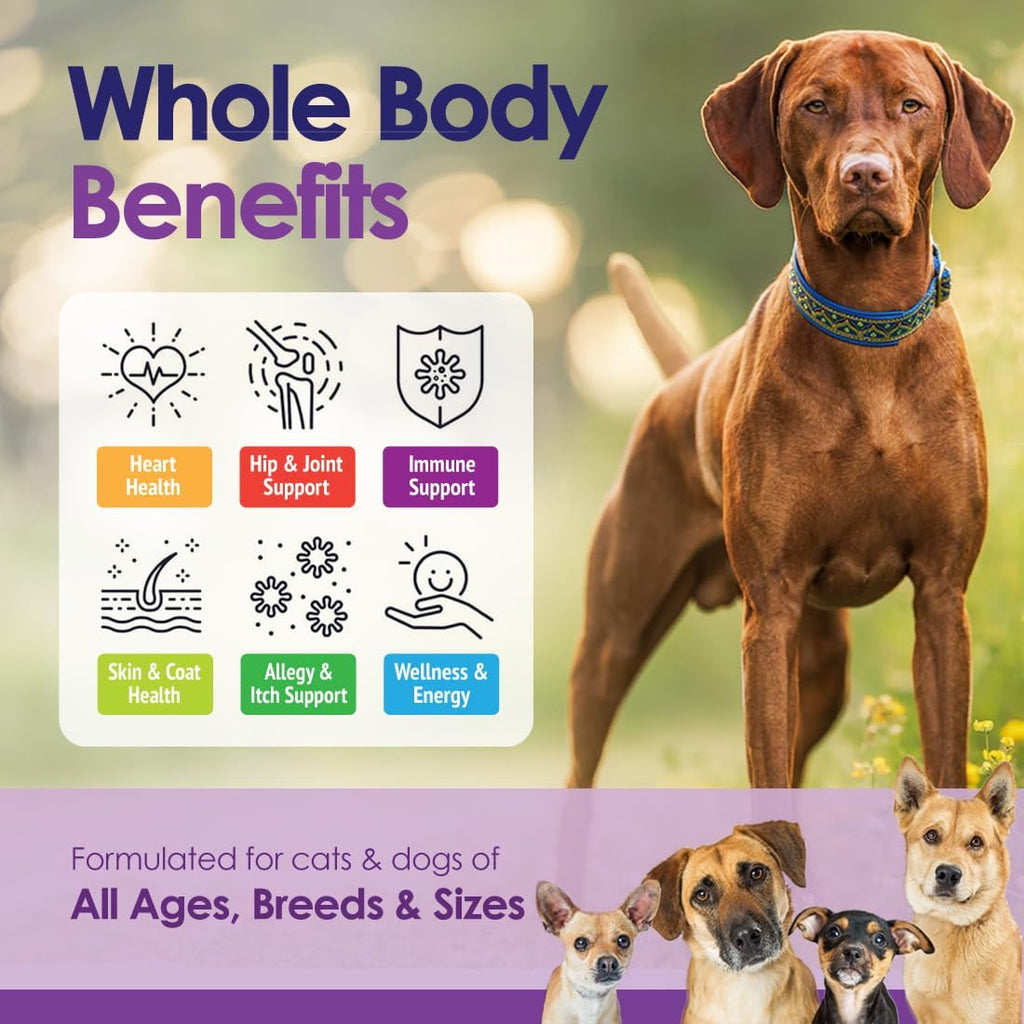 Multivitamínico Masticable para Perros 22 en 1 - Con Mejillón de Labios Verdes y Omega-3 - 60 Masticables Sabor Ternera