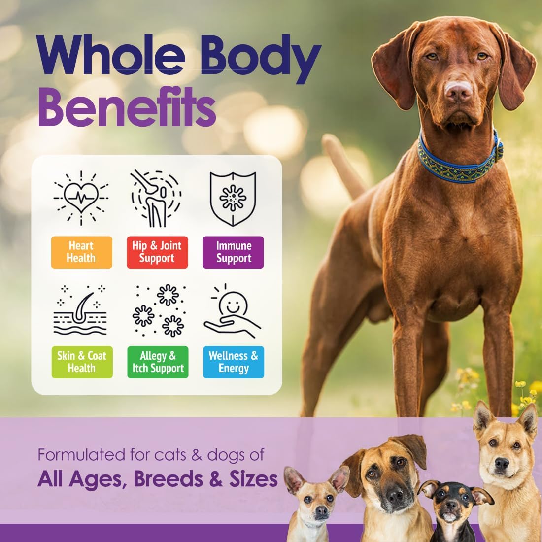 Multivitamínico Masticable para Perros 22 en 1 - Con Mejillón de Labios Verdes y Omega-3 - 60 Masticables Sabor Ternera