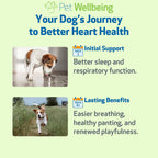 Pet Wellbeing Young at Heart for Perros – Apoyo Cardiovascular Senior – 118 ml (4 oz)