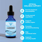 Absonutrix L-Carnosina - 583 mg, 118 ml (4 oz) - 200 Servings, Gotas Líquidas de Alta Biodisponibilidad