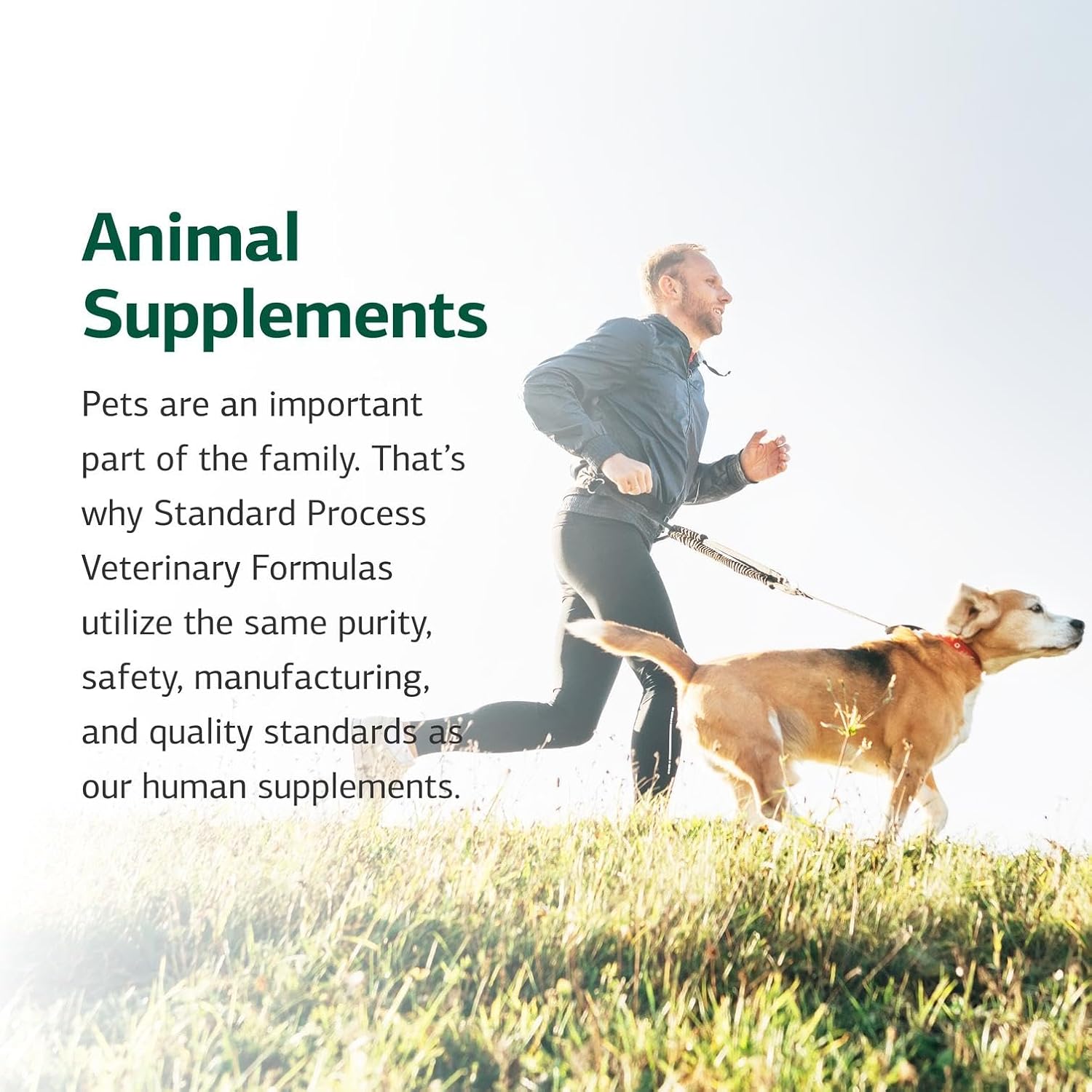 Standard Process Inc. Suplemento para Perros de Apoyo Integral y Multisistémico - Polvo Nutricional para el Mantenimiento de la Salud Diaria - 100 g