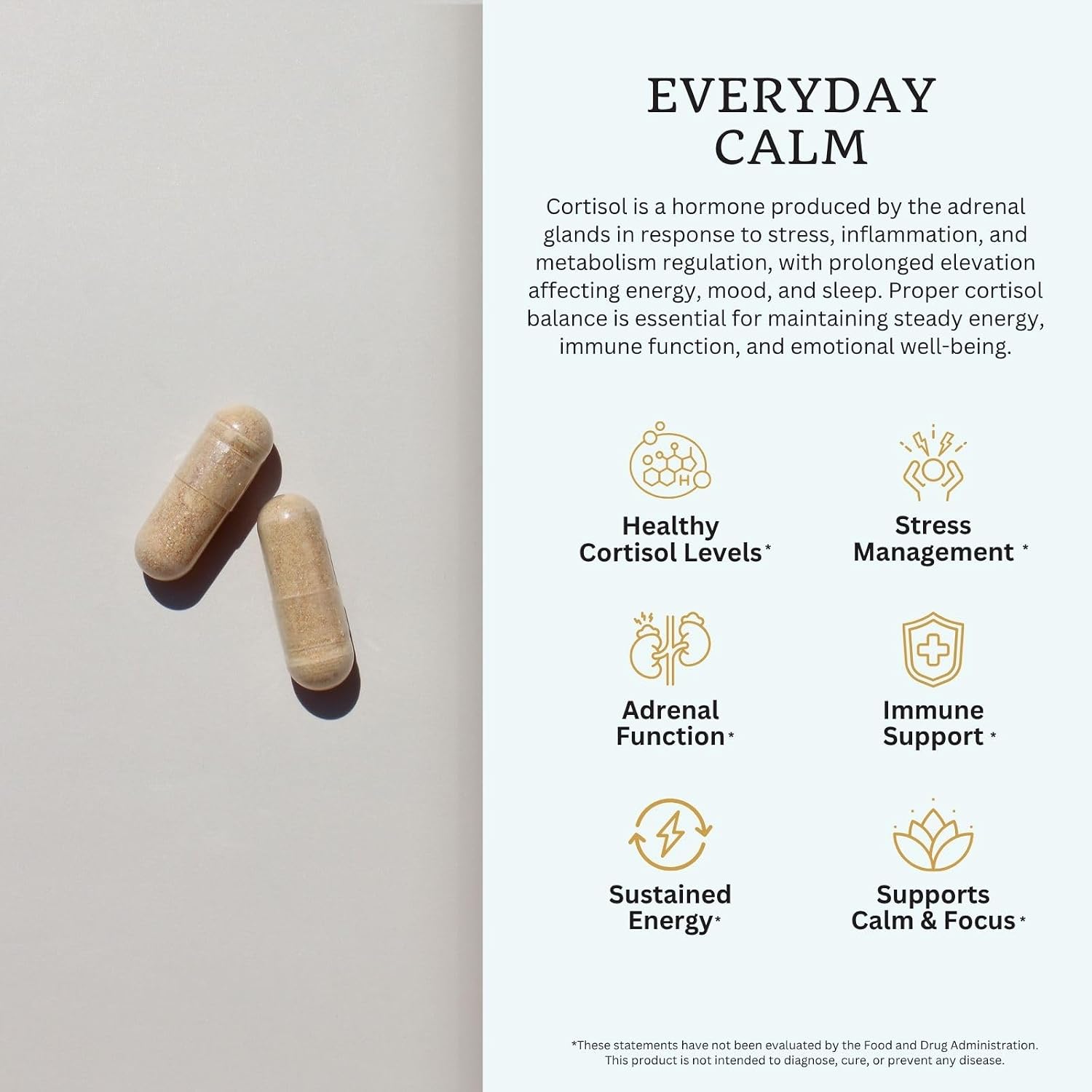 VTC VitaTradingCo. Cortisol Stress Complex | Mezcla de Hongos y Hierbas Adaptogénicas | con Relora y Ashwagandha Estudiados Clínicamente | Apoyo Adrenal y Anímico | 90 Cápsulas Veganas