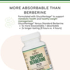 Dihydroberberine 100mg, 60 Cápsulas (GlucoVantage® Super Berberina Patentada) – Double Wood