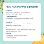 PURE SYNERGY Multi·Vita·Min - Multivitamínico Vegano con Alimentos Integrales Orgánicos (60 Comprimidos)