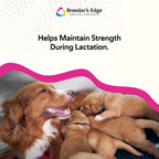 Breeder’s Edge Oral Cal Plus Powder - Calcio y Vitamina D3 para Perros y Gatos Lactantes, 300g