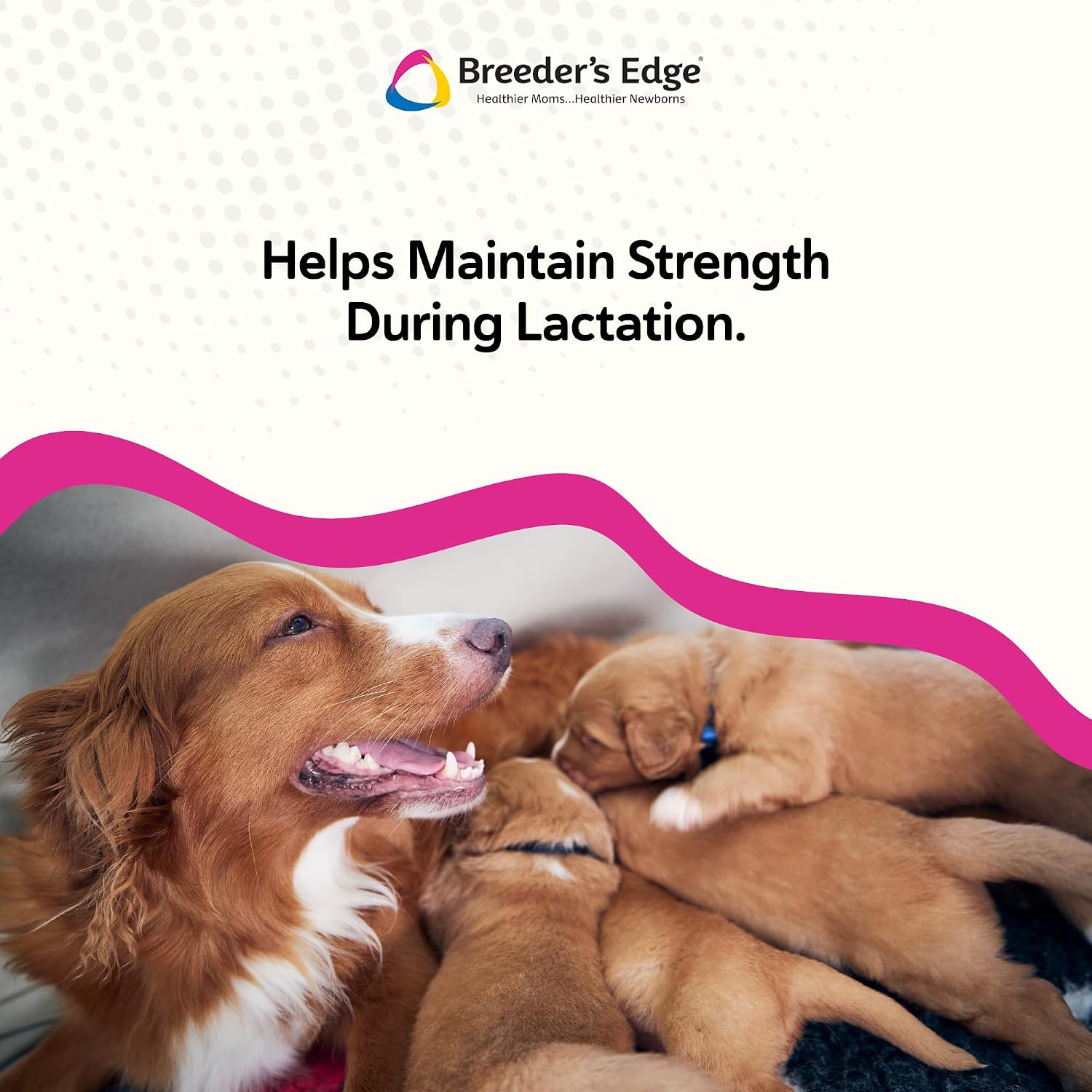 Breeder’s Edge Oral Cal Plus Powder - Calcio y Vitamina D3 para Perros y Gatos Lactantes, 300g