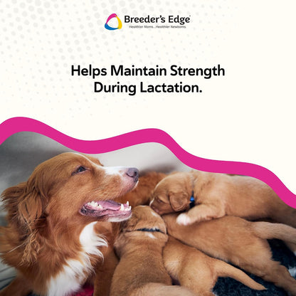 Breeder’s Edge Oral Cal Plus Powder, Calcio y Vitamina D₃ para Perros y Gatos Lactantes, 1 kg – Image 4