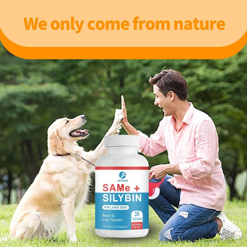 Same y Silybin para Perros - S-Adenosil-L-Metionina y Silibina, Suplemento Hepático para Perros Grandes, Apoyo para Hígado y Cerebro (Same+Silybin), Todos los Perros (Hasta 54 kg)
