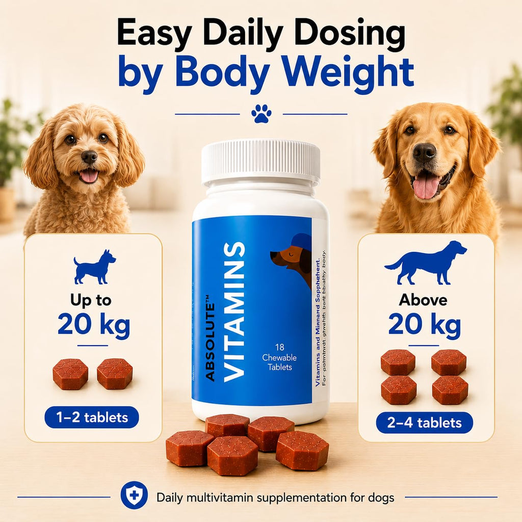 Drools Absolute Vitamin Tablet - Suplemento Multivitamínico para Perros, 110 Comprimidos
