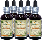 Sea Cucumber (Cucumaria Frondosa) Glicerita, Extracto Líquido Sin Alcohol 60 ml