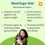Pet Wellbeing Blood Sugar Gold para Perros - Apoyo Holístico para Niveles Saludables de Azúcar en Sangre, Estabilización de Insulina y Función Pancreática Normal - Certificado NASC y Formulado por Veterinarios - 118 ml Líquido