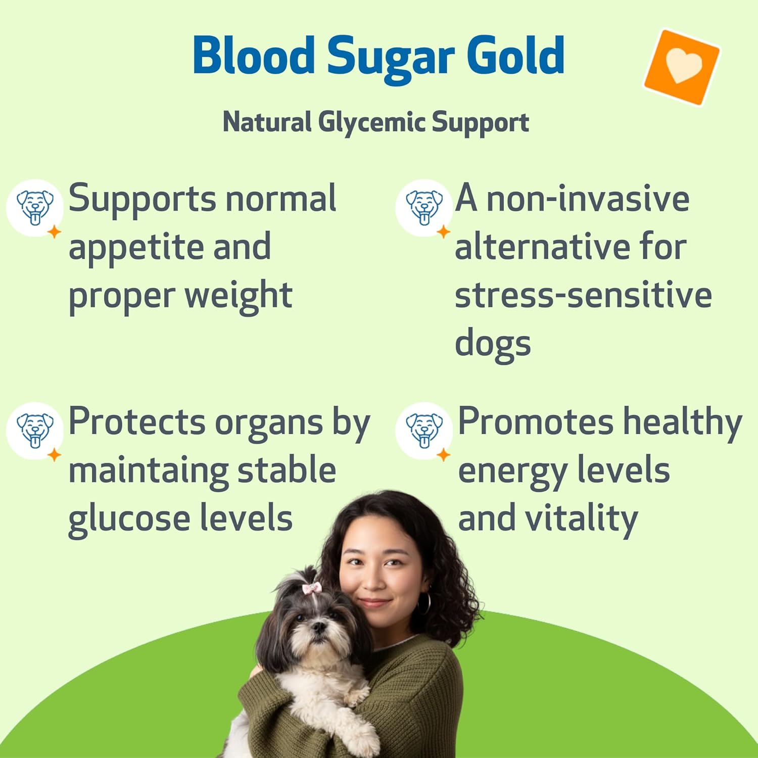 Pet Wellbeing Blood Sugar Gold para Perros - Apoyo Holístico para Niveles Saludables de Azúcar en Sangre, Estabilización de Insulina y Función Pancreática Normal - Certificado NASC y Formulado por Veterinarios - 118 ml Líquido