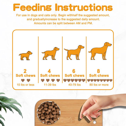 Probióticos para Perros y Gatos con – Apoyo digestivo: Ayuda a promover un tránsito intestinal regular y el – Image 7