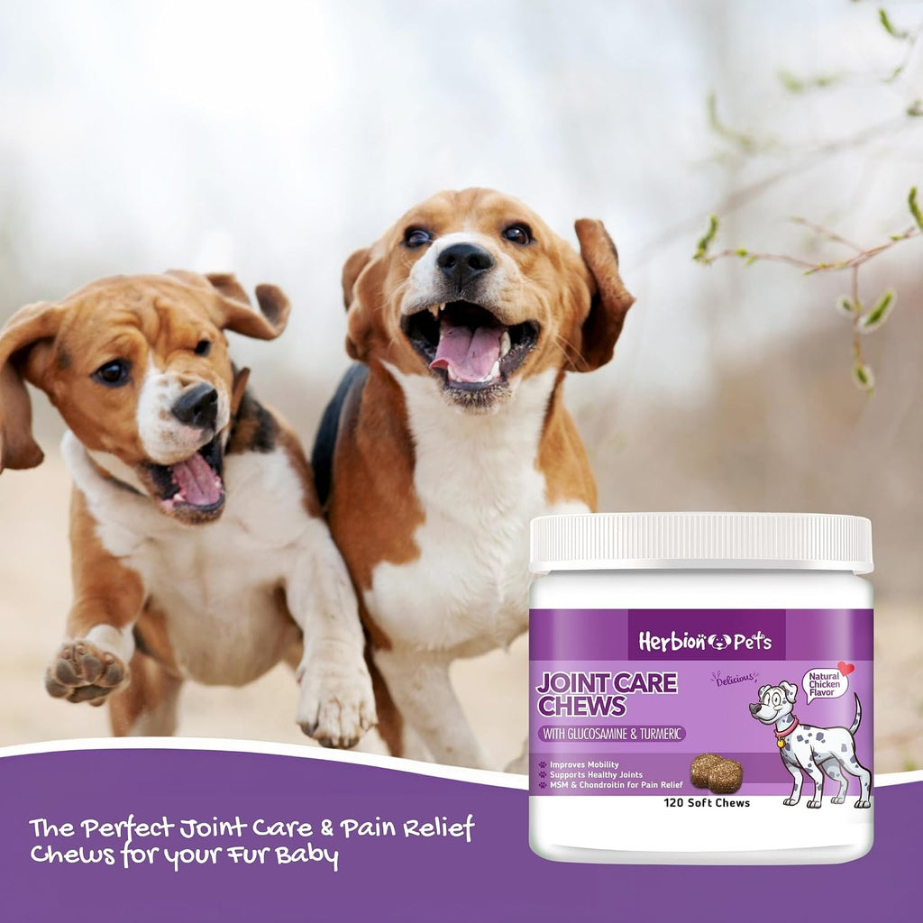 HERBION Pets Masticables Articulares con Glucosamina y Cúrcuma, 120 unidades