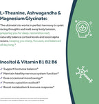 Doctor's Recipes L-Theanine 200 mg con Magnesio Glicinato, Ashwagandha, Inositol y Vitaminas B - 90 Cápsulas