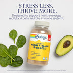 SOLARAY Mega Vitamin B-Stress - Complejo B de Liberación Prolongada con Vitamina B12, B6, Ácido Fólico, Vitamina C - Apoyo para el Estrés, Energía, Glóbulos Rojos, Sistema Inmunológico - Vegano, 276 Comprimidos