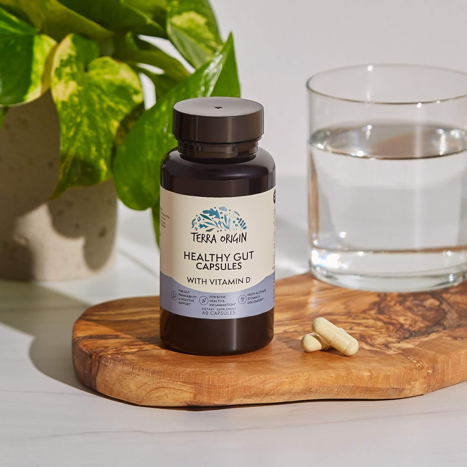 TERRA ORIGIN Healthy Gut con vitamina D 5000 UI | 60 cápsulas | Salud intestinal